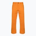 Штани сноубордичні чоловічі Quiksilver Estate orange pepper 7