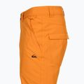 Штани сноубордичні чоловічі Quiksilver Estate orange pepper 9
