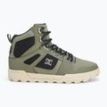 Кросівки чоловічі DC Pure High Top WR green / black / white 2