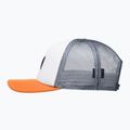 Кепка чоловіча Quiksilver Omnipotent snow white 3