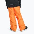 Штани для сноуборду дитячі Quiksilver Estate orange peel 3