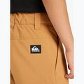 Дитячі сноубордичні штани Quiksilver Estate almond 8
