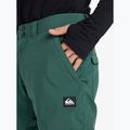 Дитячі сноубордичні штани Quiksilver Estate trekking green 4