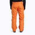 Штани для сноуборду дитячі Quiksilver Estate orange peel 2