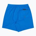 Шорти для плавання дитячі Quiksilver Everyday Volley 14" nebulas blue 2