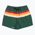 Шорти для плавання чоловічі Quiksilver Everyday Printed Volley 15" forest outside stripe