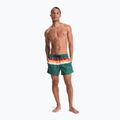 Шорти для плавання чоловічі Quiksilver Everyday Printed Volley 15" forest outside stripe 4