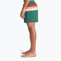 Шорти для плавання чоловічі Quiksilver Everyday Printed Volley 15" forest outside stripe 6