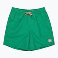 Шорти для плавання дитячі Quiksilver Everyday Volley 14" leprechaun