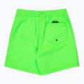 Шорти для плавання дитячі Quiksilver Everyday Volley 14" green gecko 2