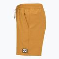 Шорти для плавання чоловічі Billabong Every Other Day Layback spice gold 3