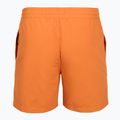 Шорти для плавання чоловічі Billabong All Day Layback clay orange 2