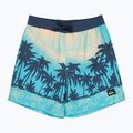 Шорти для плавання дитячі Quiksilver Everyday Printed Volley 14" aqua thermotropics