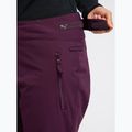 Штани для сноуборду жіночі ROXY Alpine Ridge blackberry wine 6