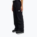 Штани для сноуборду жіночі DC Nonchalant Pant black 3