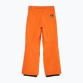 Штани для сноуборду дитячі Quiksilver Estate vermillon 7