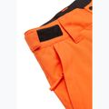 Штани для сноуборду дитячі Quiksilver Estate vermillon 9