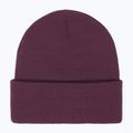 Шапка зимова дитяча ROXY Tropical Snow Beanie blackberry wine 2