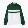 Чоловічий тенісний спортивний костюм Lacoste WH7567 зелений/білий 6