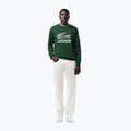 Кофта чоловіча Lacoste SH1281 green 2