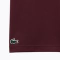 Футболка чоловіча Lacoste TH2623 expresso 7