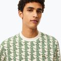 Футболка чоловіча Lacoste TH2831 lapland/green 4