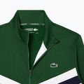 Кофта чоловіча Lacoste SH2646 green / white / navy blue 6