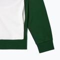 Кофта чоловіча Lacoste SH2646 green / white / navy blue 8