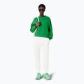 Кофта жіноча Lacoste SF5614 calathea 2