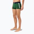 Труси чоловічі Lacoste 5H1291 3-пак thyme/navy blue/white 3