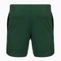 Шорти тенісні чоловічі Lacoste GH0138 green 2