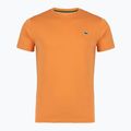 Футболка тенісна чоловіча Lacoste TH0003 blossom/angie