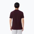 Футболка поло чоловіча Lacoste Polo DH5522 oxalis 3