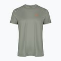 Футболка чоловіча Aulp Tommy lichen 3