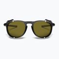 Окуляри сонцезахисні Julbo Millenium Reactiv Polarized shiny translucent black/black/white 4