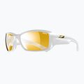 Окуляри сонцезахисні Julbo Reactive Performance 2-4 zebra/blanc brilliant