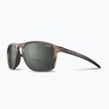 Окуляри сонцезахисні Julbo Compass Polarized brown translu brillant/army dark