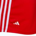 Шорти боксерські adidas Boxing Shorts червоні ADIBTS02 3