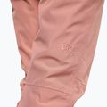 Штани лижні жіночі Picture Exa 20/20 Ash Rose WPT081 5