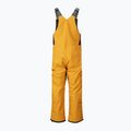 Штани лижні чоловічі Picture Testy Bib 10/10 жовті MPT124 2