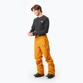Чоловічі гірськолижні штани Picture Object 20/20 верблюд 2