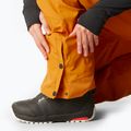 Чоловічі гірськолижні штани Picture Object 20/20 верблюд 7
