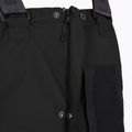 Штани гірськолижні чоловічі Picture Testy BIB 10/10 black 11