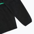 Кофта флісова гірськолижна жіноча Picture Arcca 1/4 Zip black 10