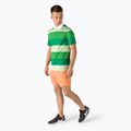 Футболка-поло тенісна чоловіча  Lacoste зелена DH0872 3