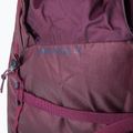 Рюкзак туристичний BLUE ICE Warthog Pack 40 l winetasting 7