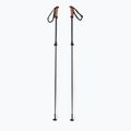 Лижні палиці Elan Voyager Rod чорні CD907620