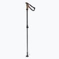 Лижні палиці Elan Voyager Rod чорні CD907620 6