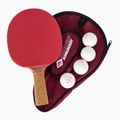 Набір для настільного тенісу Donic-Schildkröt Persson 600 Gift Set 788450
