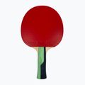 Ракетка для настільного тенісу Butterfly Boll Мастилоagd 13